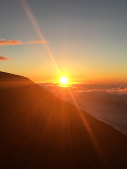 初日の出