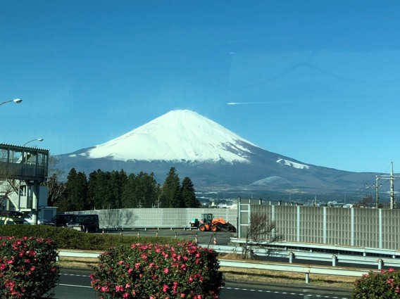 年の始まりは　やはりこれが似合いますね。